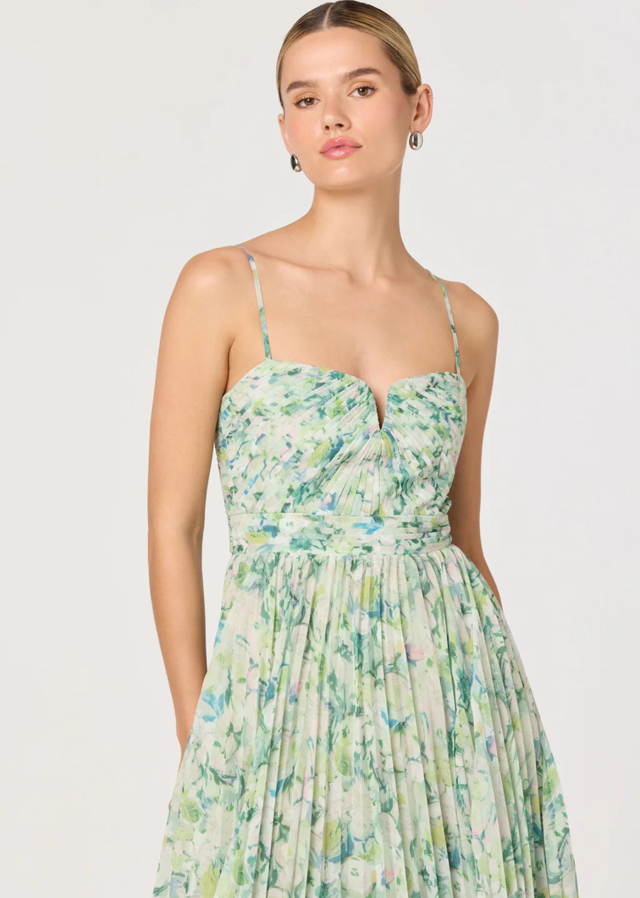 ASTR Bayley Floral Pleated Maxi Dress - Green Floral