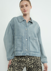 Aaron Embroidered Denim Jacket