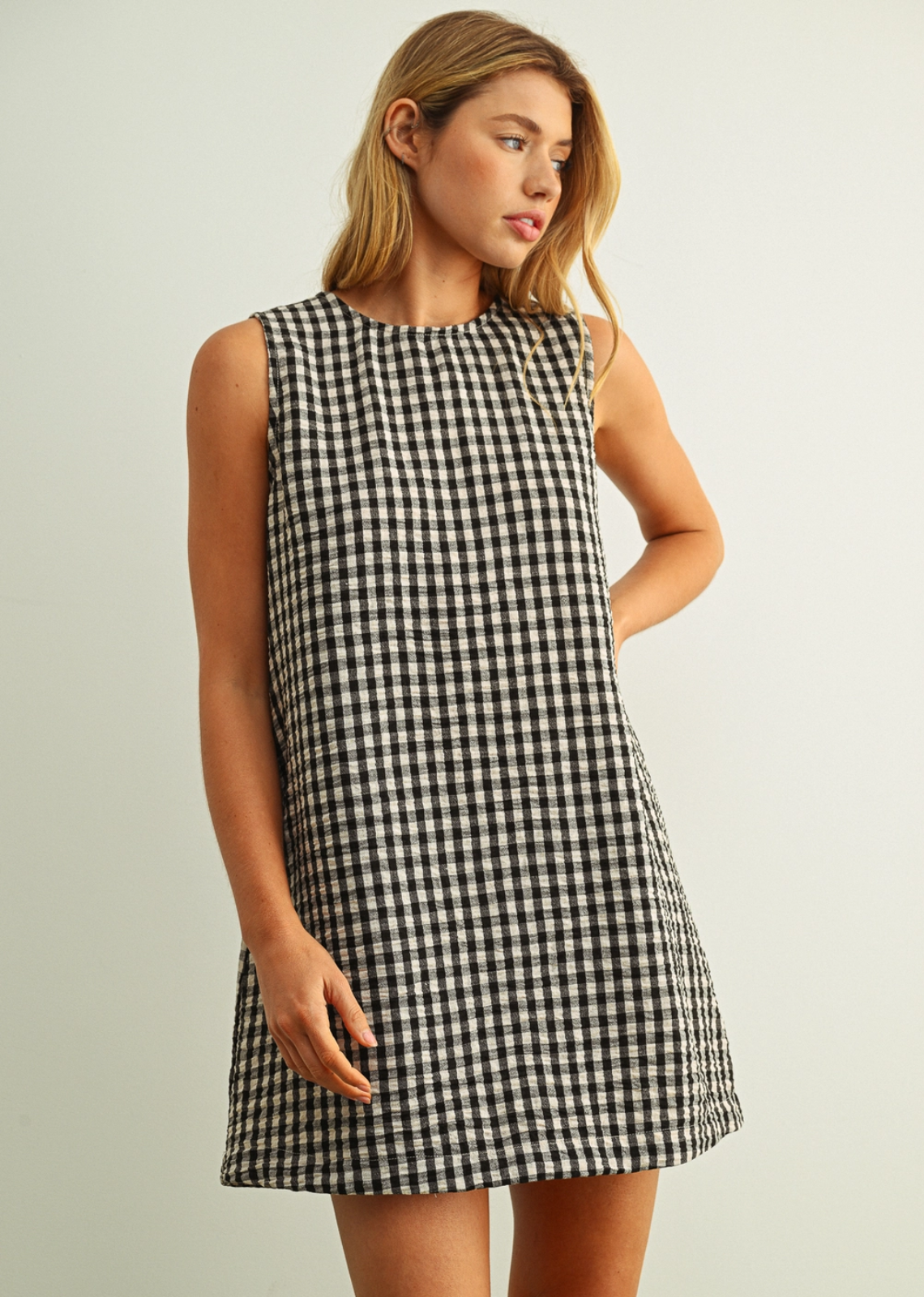 Stevie Gingham Pattern Open Back Dress