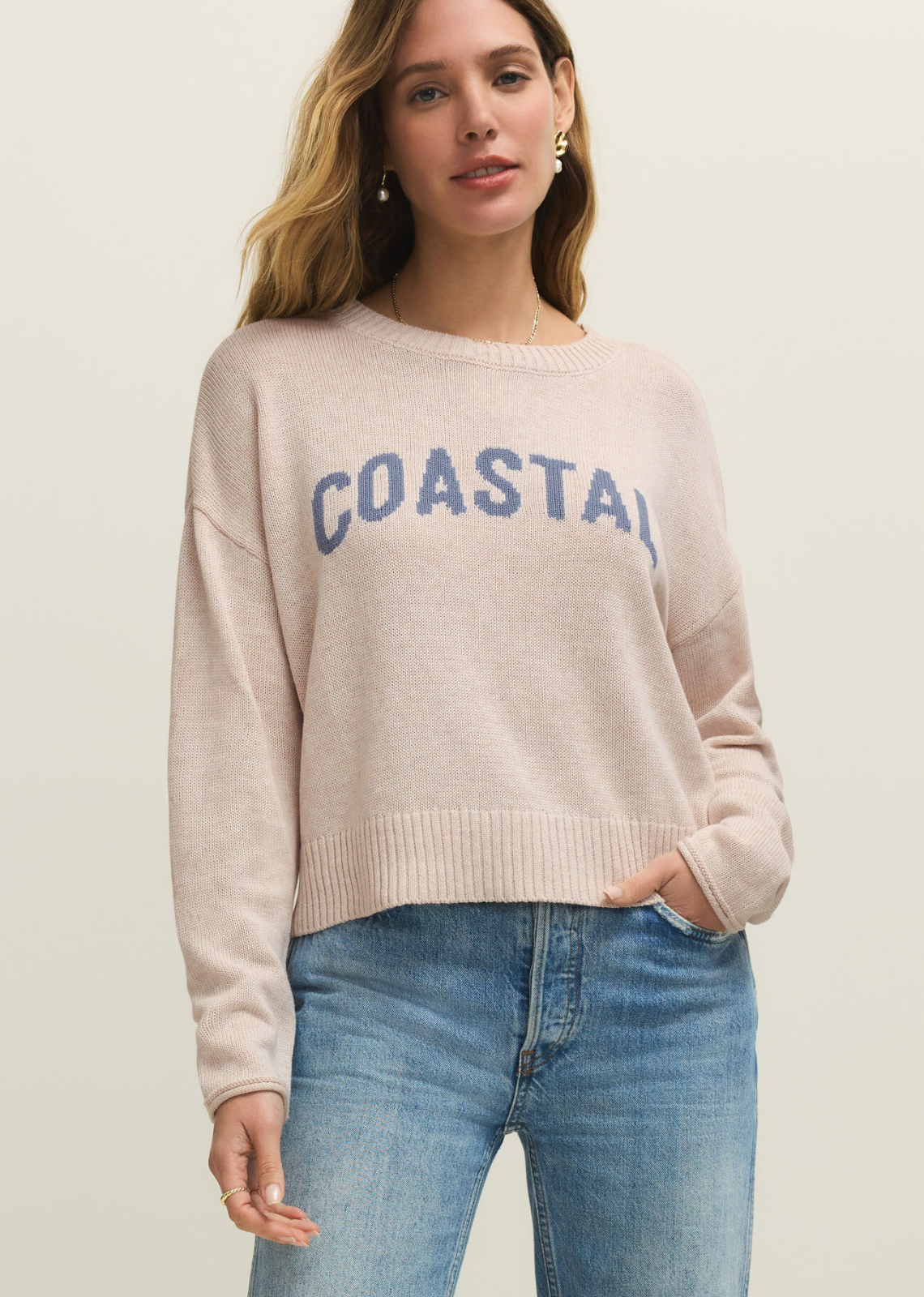 Z Supply Sienna Coastal Sweater