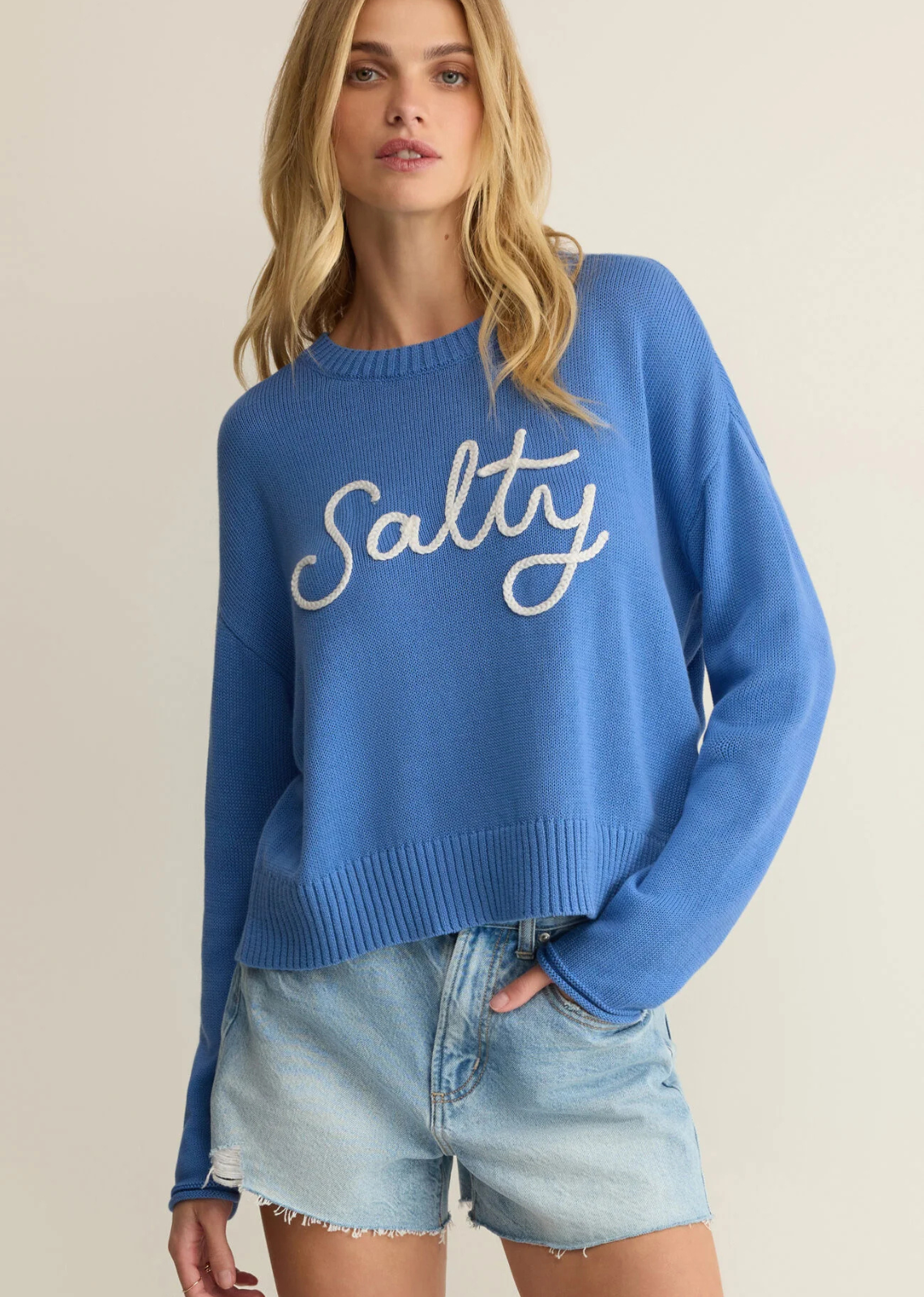Z Supply Sienna Salty Sweater