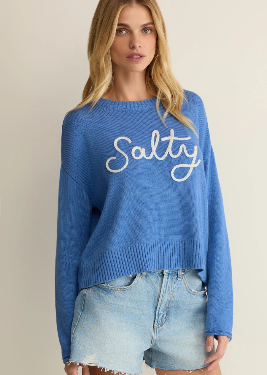 Z Supply Sienna Salty Sweater